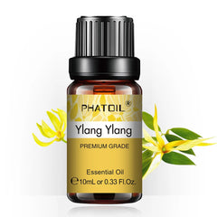 PHATOIL 10ml Aromatherapy Essential Oils – Lavender, Eucalyptus, Bergamot, Juniper & Pine Needles