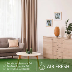 PHATOIL 10ml Aromatherapy Essential Oils – Lavender, Eucalyptus, Bergamot, Juniper & Pine Needles