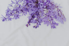 Natural Aroma Incense Sticks