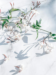 Natural Aroma Incense Sticks